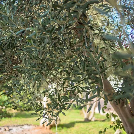 Agriturismo Solicara Farma