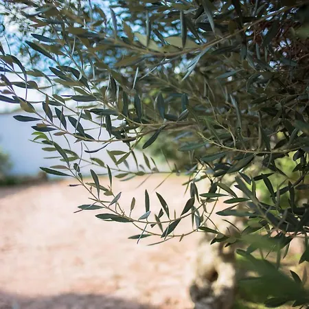 Agriturismo Solicara * Lecce